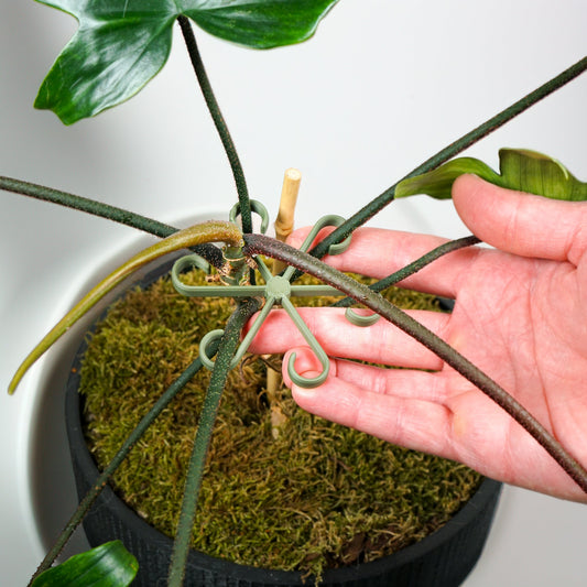 3D Printed Plant Stem Support Clips | Multiple Sizes