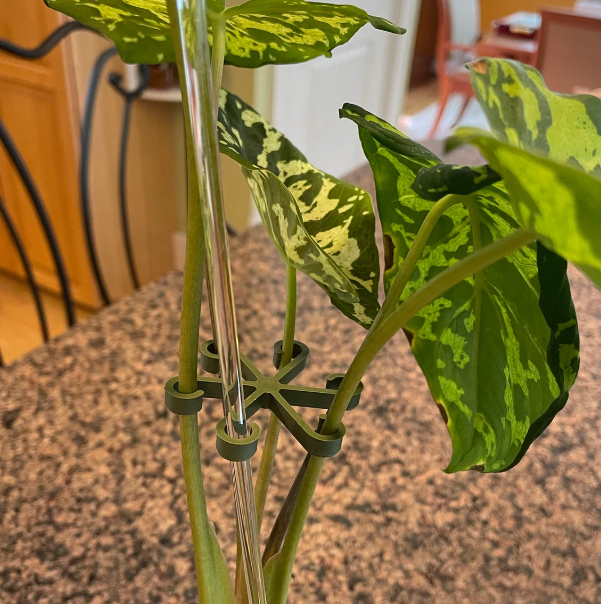 3D Printed Plant Stem Support Clips | Multiple Sizes