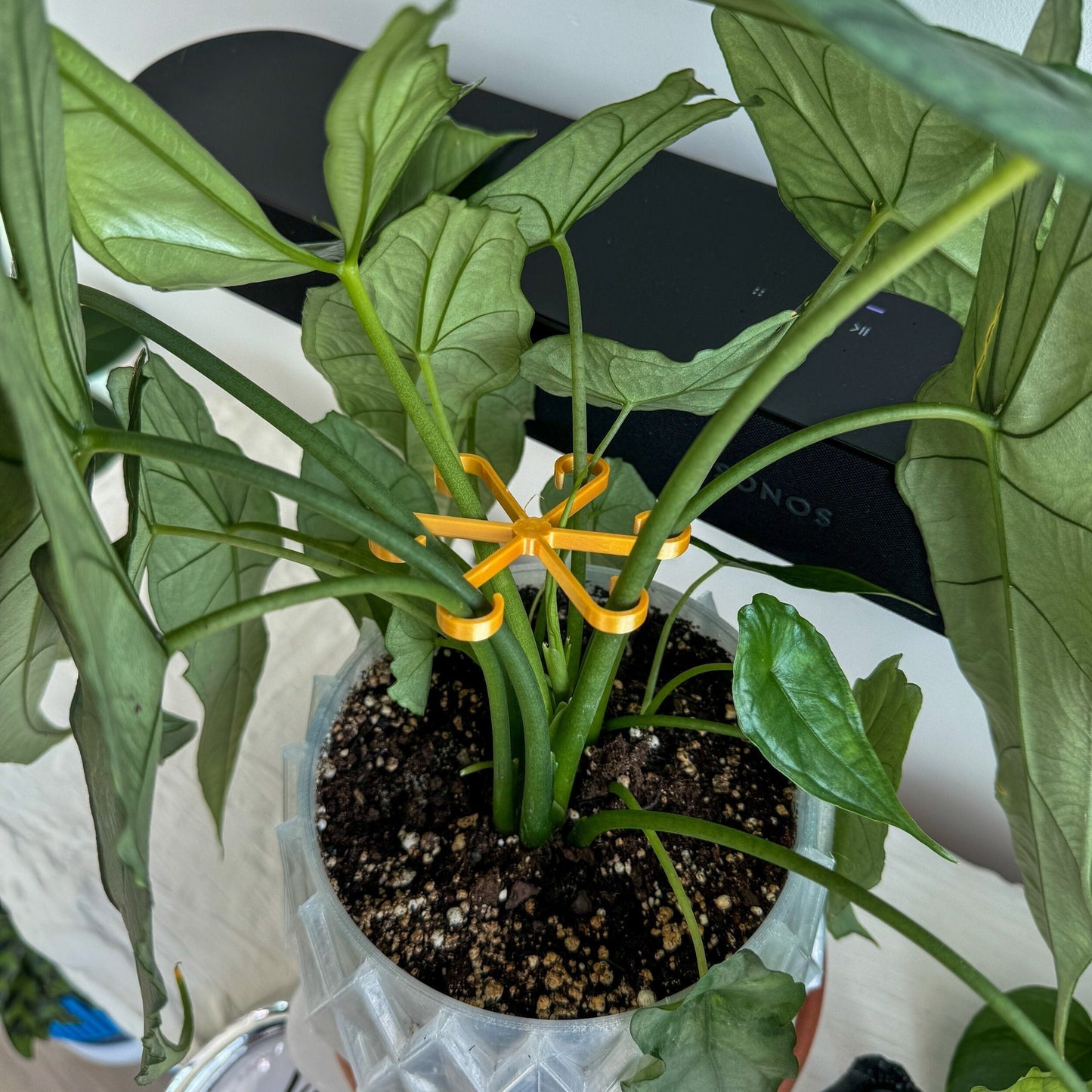 3D Printed Plant Stem Support Clips | Multiple Sizes