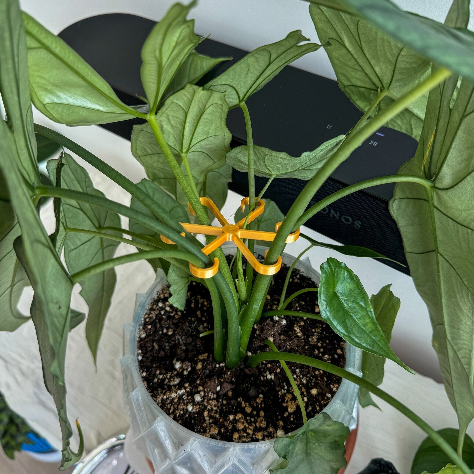 3D Printed Plant Stem Support Clips | Multiple Sizes
